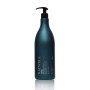 Шампунь розгладжуючий для пористого волосся RAYWELL B.IO LISS 1000ml