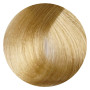 Фарба EXTREMO HAIR COLOR 100ml 10.13 EX085